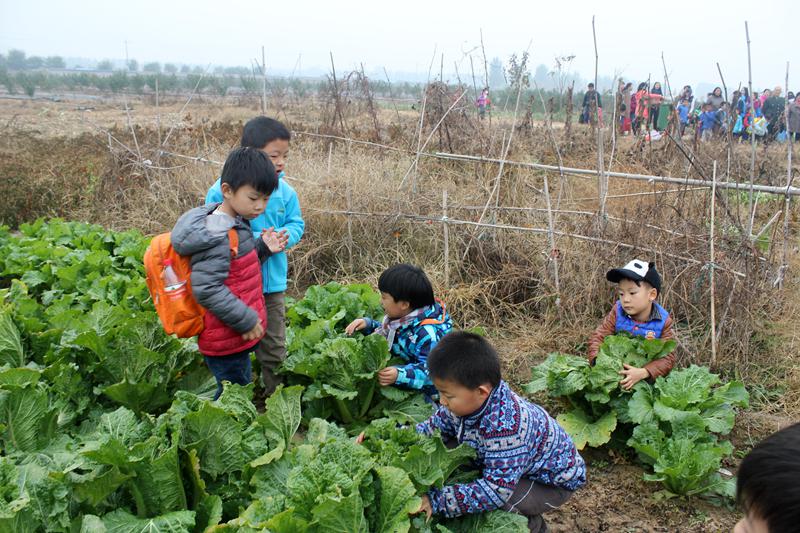 拥抱自然，守望秋天 ——北京王府幼儿园秋游活动