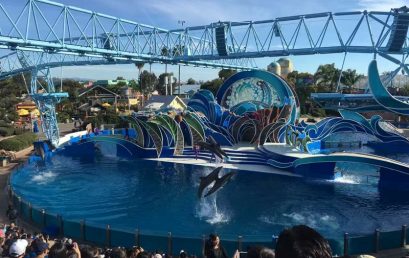 冬季游学 | 美国斯坦福大学冬季全真课堂