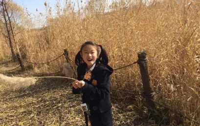 【童画廊】会讲故事的线条与色彩