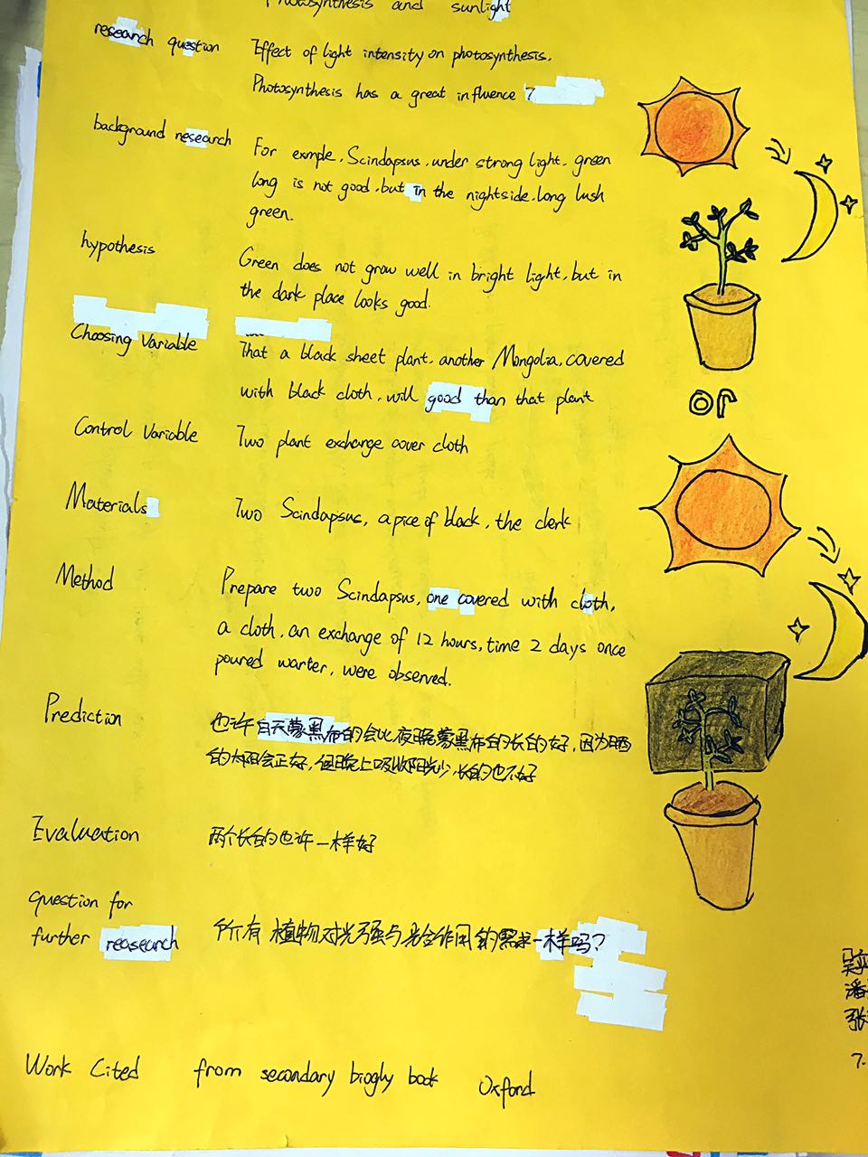 Biology reflection essay image