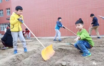 Let us Grow Plants, Little Gardeners