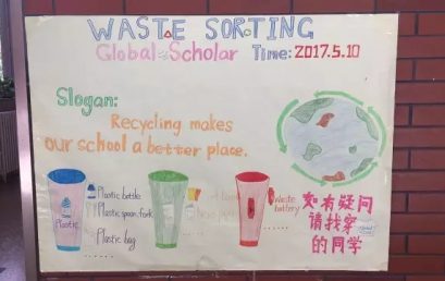 Global Scholars are in Action