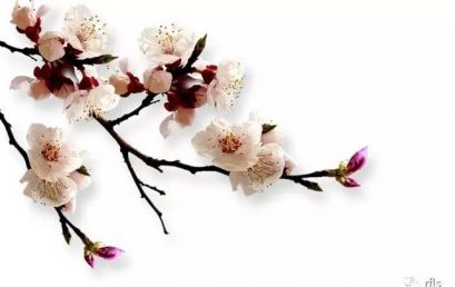 用我的诗情画意，带你再识四月天