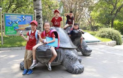 动物园探秘——记二年级国际班实践活动