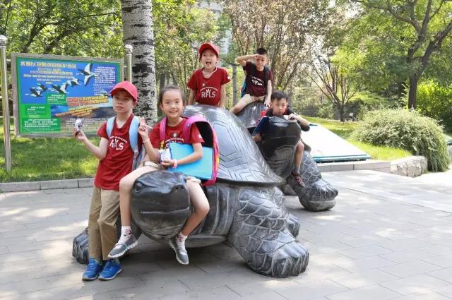 动物园探秘——记二年级国际班实践活动 动物园探秘——记二年级国际班实践活动