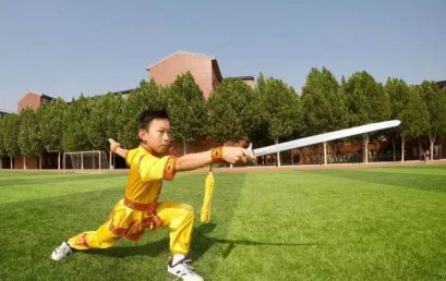 【优秀毕业生】功夫小子的武术强国梦