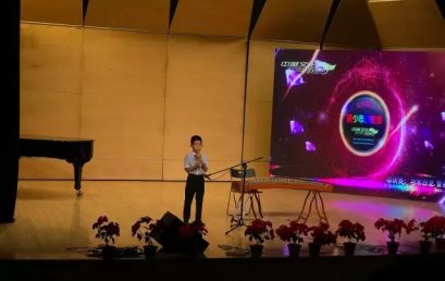 王府娃华人艺术节大放异彩