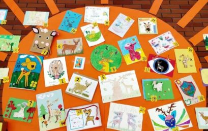 【二年级特辑】速来围观