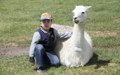 【家长来信】孩子，我愿用一辈子的时间陪你长大