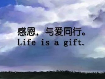 感恩节｜幸福之花，开在感恩的枝头