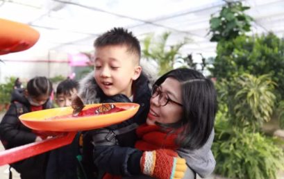 走近心愿精灵，拥有隐形翅膀