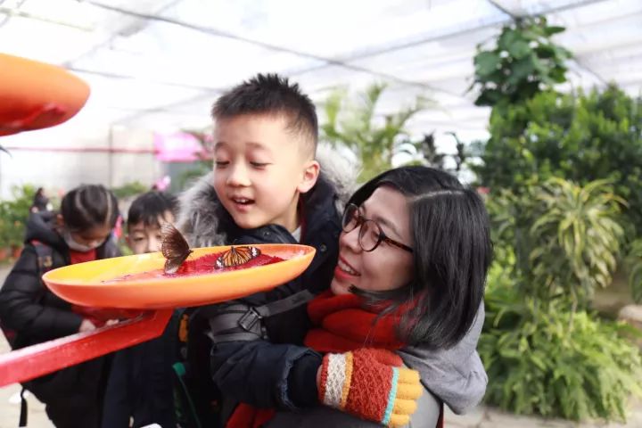 走近心愿精灵,拥有隐形翅膀 走近心愿精灵,拥有隐形翅膀