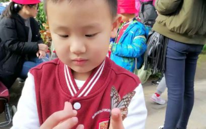 【家长来信】每个孩子都是一颗小树，而你是我心中万能的种子