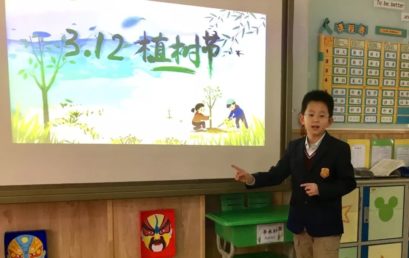 多一片绿叶，多一份温馨——记四年级组植树节主题班会