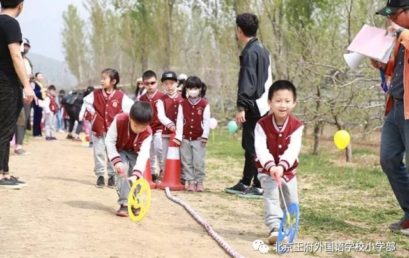 春游日二｜烂漫春日，到“花田”来撒欢儿吧