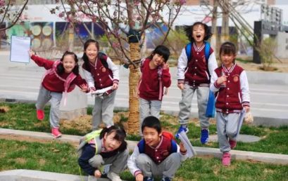 PYP主题探究｜我们收到了大自然的邀请函