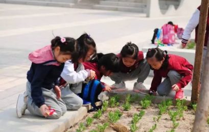 PYP Theme Exploration｜An Invitation From Nature