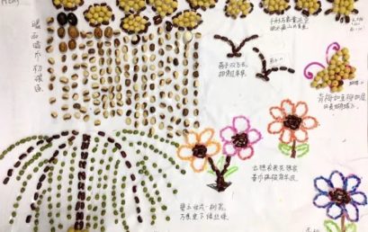 PYP数学课｜千豆 百豆 创意豆