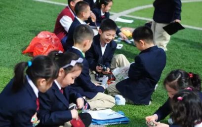 PYP数学活动 | 数钱数到手软，一年级王府娃的跳蚤市场