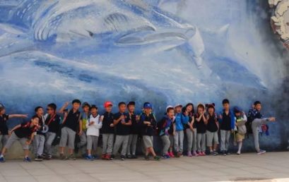 PYP主题探究|在动物园中寻找栖息地