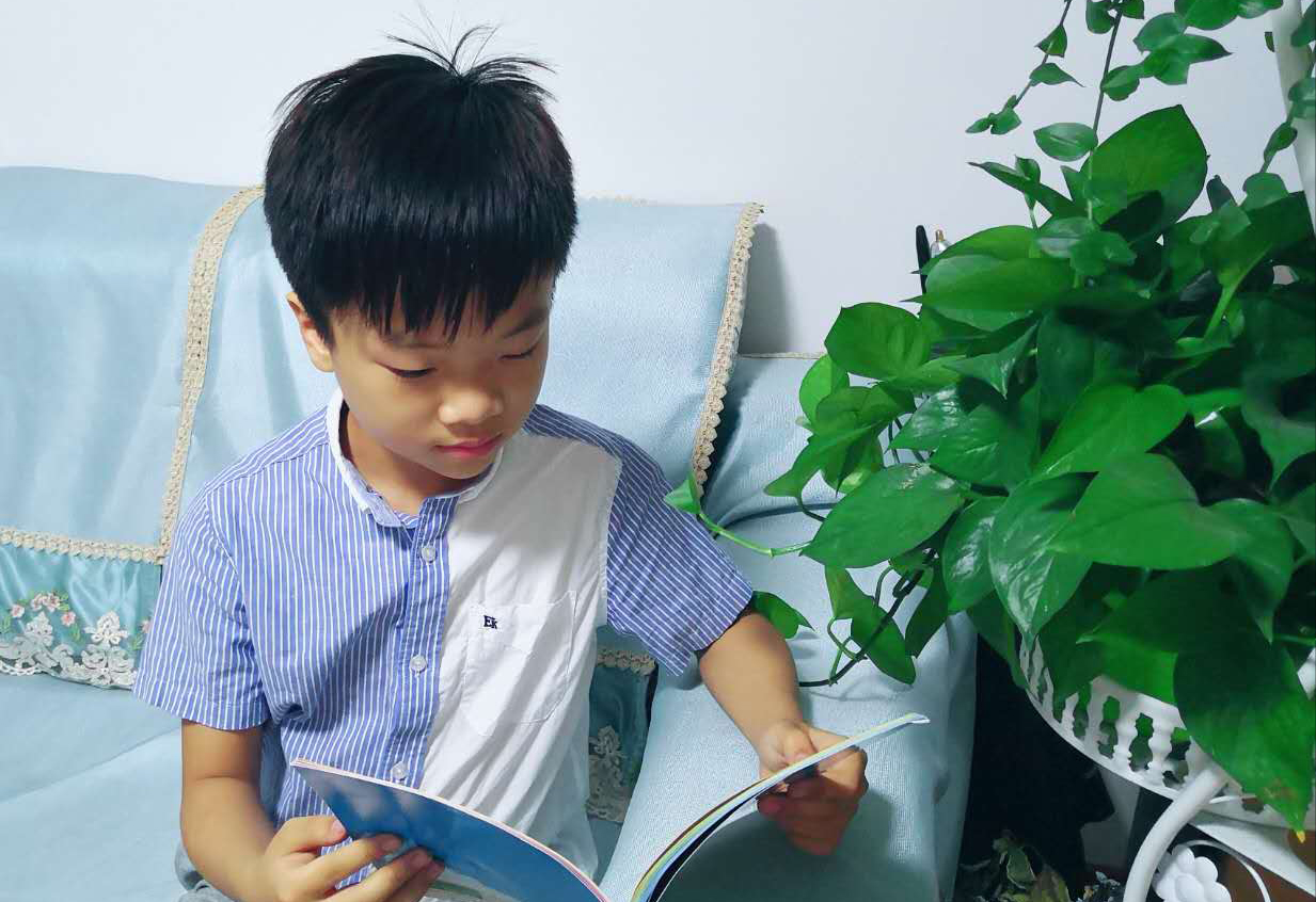 四年级的小作家