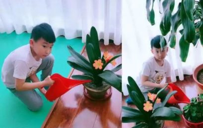 一年级母亲节特辑（3）｜看小鬼当家，角色大互换