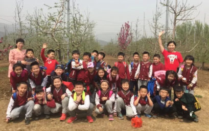 一年级母亲节特辑（6）｜妈妈， 让我做一天你