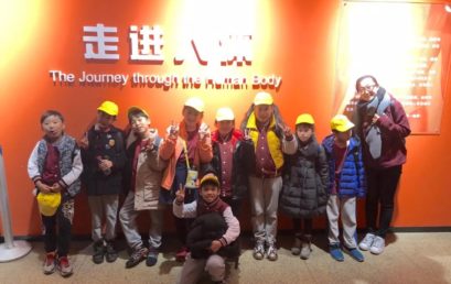 PYP Grade 4 Explores Body Systems 探索人类身体中的小秘密