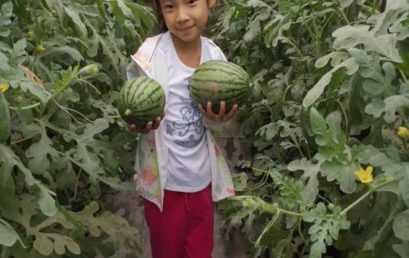 礼仪之星在王府茁壮成长｜二(5)班刘馨灿家长来信