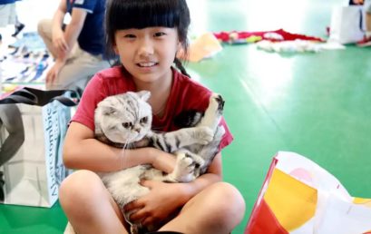 PYP“跳蚤市场 ” ｜ PYP Flea Market