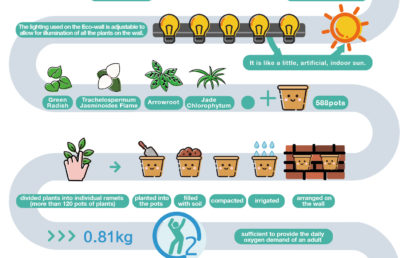 毕业生生态墙项目（The ECO Wall Project of Graduating Students）