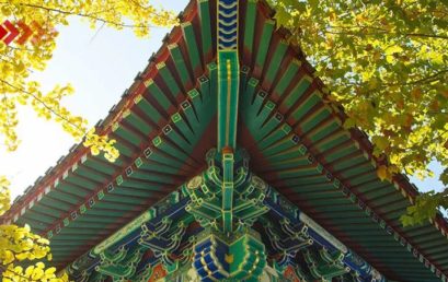 @王府人，又是一年晒秋时，你的朋友圈美景已上新