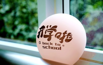 开学啦！看王府“新势力”萌范儿十足