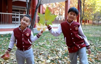 王府秋·落叶趣