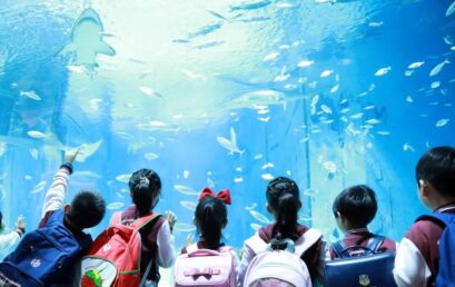 蔚蓝世界，几多神奇 | 一、二年级海洋馆实践活动