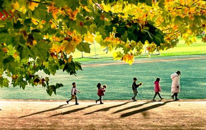 一年中最不可错过的美景，便是王府之秋！