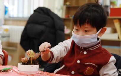 一起长大！多肉“宝宝”在王府安家啦