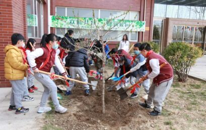 春满校园，我在王府“种”春天！
