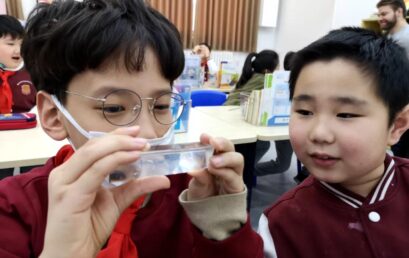 揭秘：IB小学项目在王府的真实模样