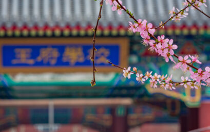 必须收藏！都是没看过的择校问答