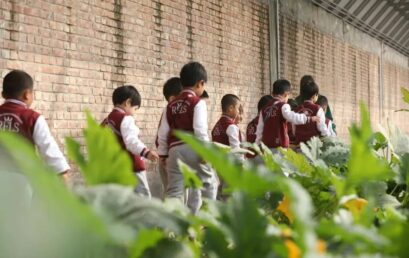 新版劳动课怎么上？王府学子给你做示范！