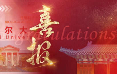 早申重磅！王府学子拥抱康奈尔等世界名校！（持续更新中）