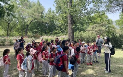 PYP探究实践｜“共享地球”，三年级学生探访“国家植物园”生态之旅