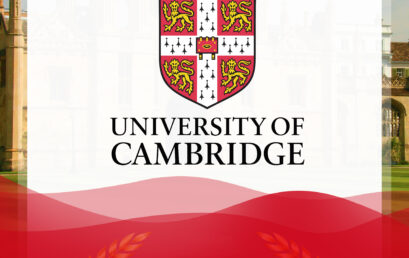 2026届王府录取季实力开局！